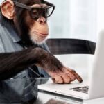 Viruela del mono: ¿Qué se sabe de los resultados de las muestras enviadas al Instituto Malbrán?