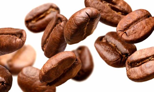 El consumo de café ¿tiene efectos protectores sobre la función renal?