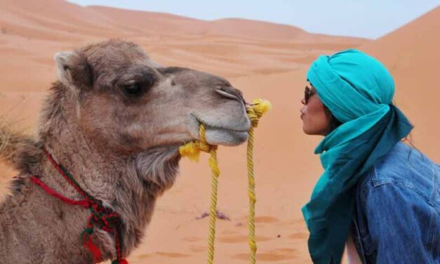 Gripe o virus del camello: ¿Qué es eso?