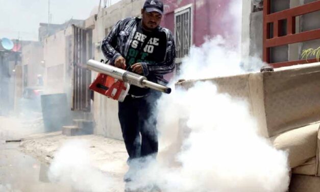 Chikungunya en Argentina: analizan tres casos autóctonos en la Provincia de Buenos Aires