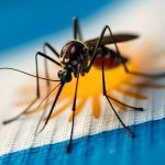 Dengue en Argentina: ¿En qué estamos?